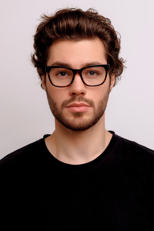 Bristol Туртуаз