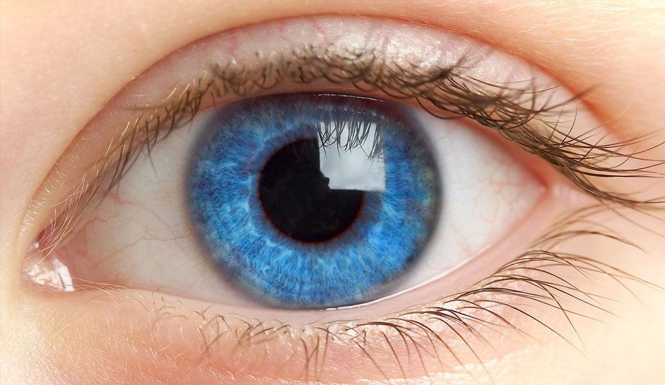 Солнцезащитные очки с диоптриями